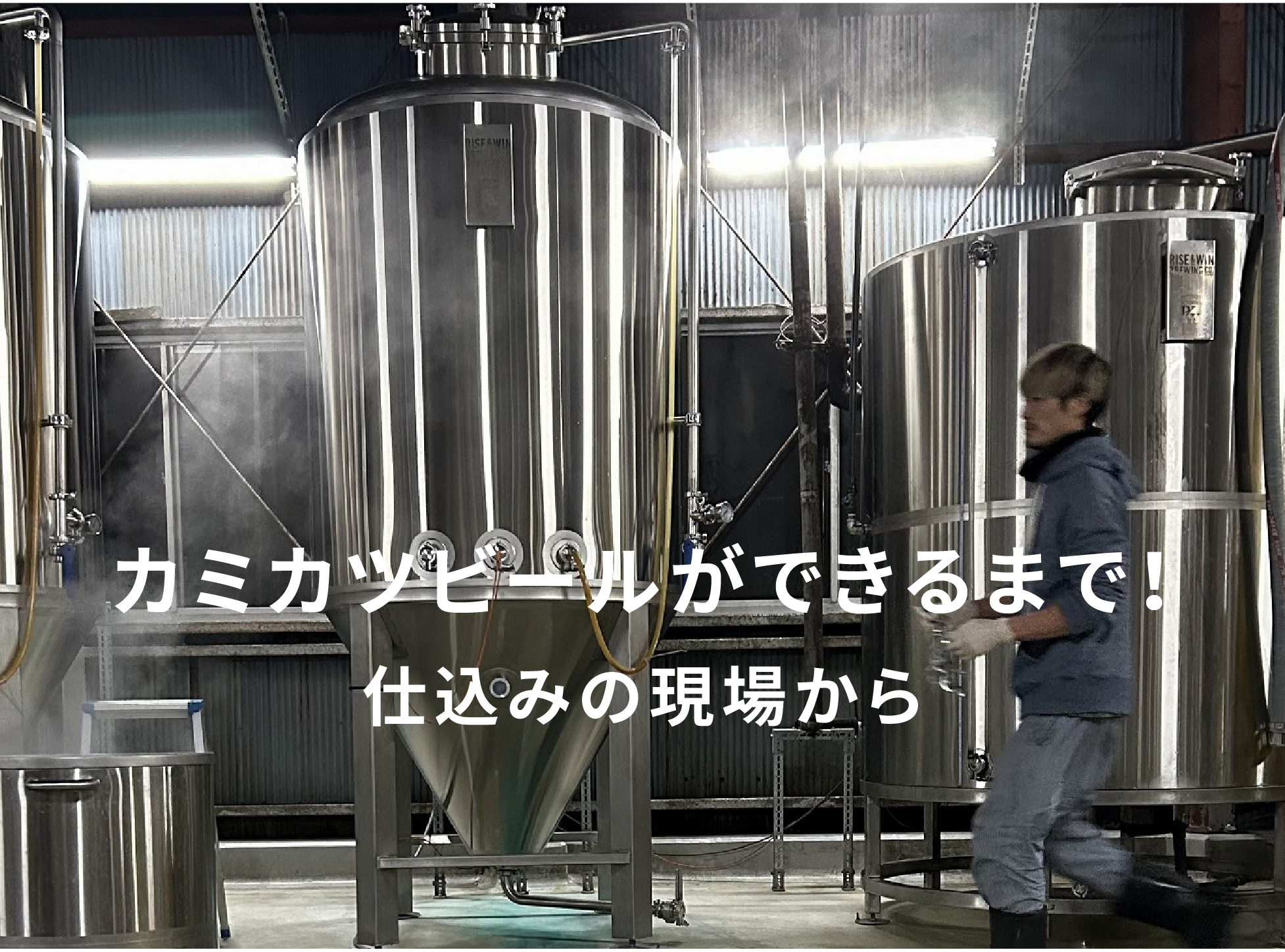 カミカツホワイトができるまで！ビール仕込みの現場から – KAMIKATZ