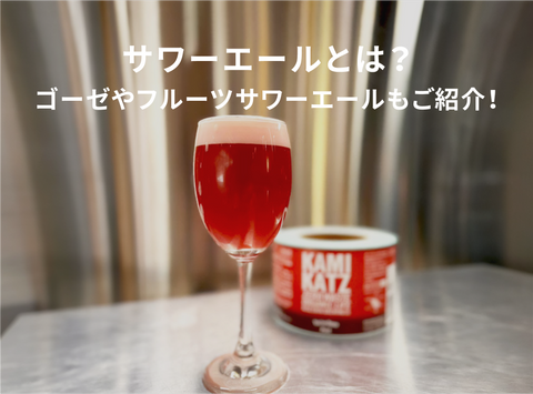 サワーエールとは?ゴーゼやフルーツサワーエールもご紹介!