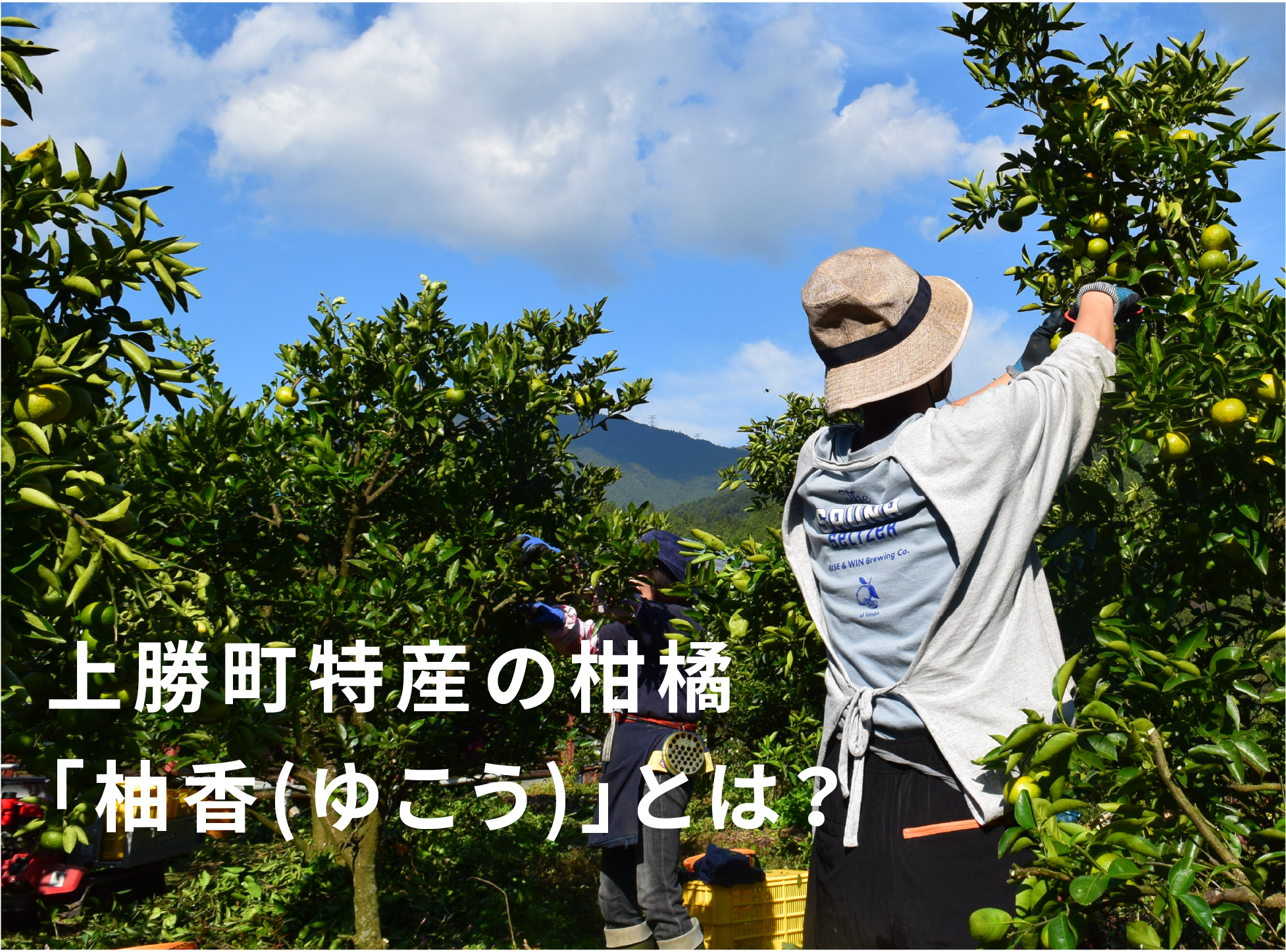 c91c3886ae6e1ac3f862e6ef225696