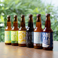 【8月限定】プレミアムなカミカツビール6種飲み比べセット（330ml×6本）