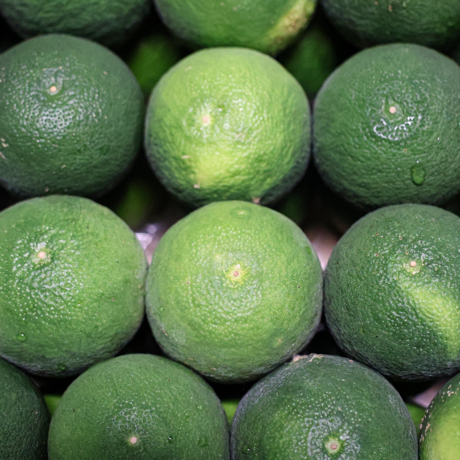 限定】 WHOLE IN ONE（ホールインワン）/クラフトビール /Brut IPA